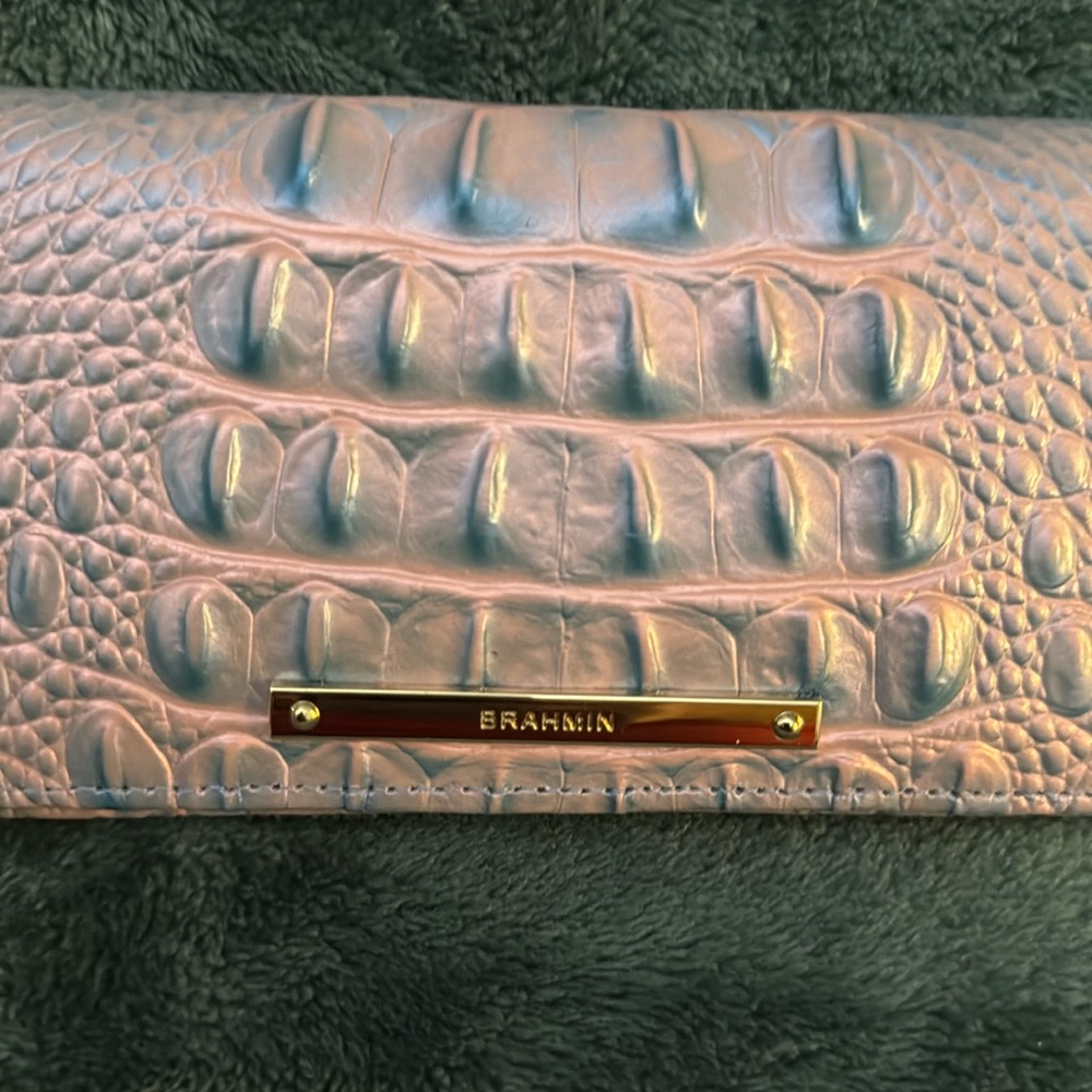 Brahmin wallet